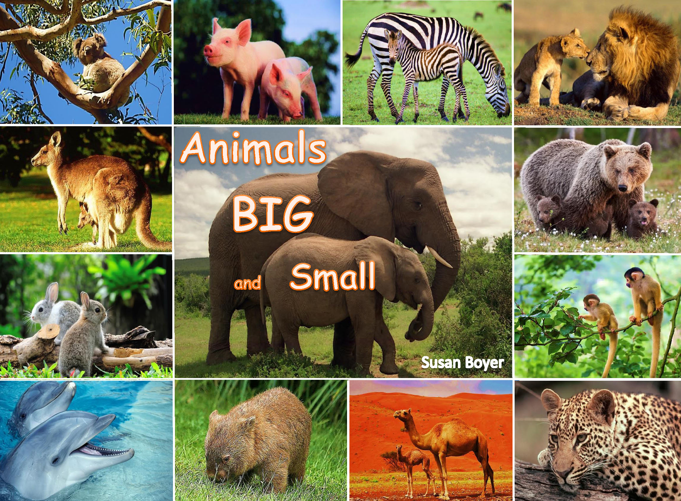  - Animals Big and Small